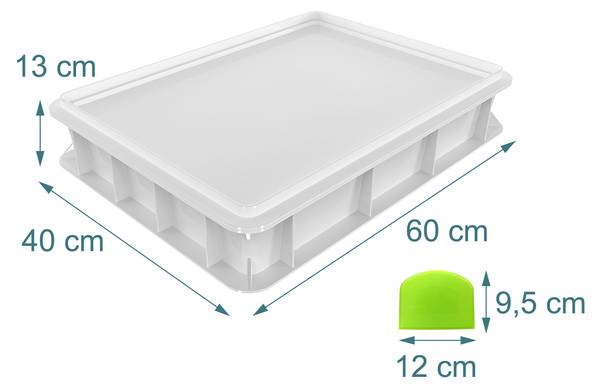 Pizzaballenbox mit Deckel Grün - Weiß - Kunststoff - 60 x 13 x 40 cm