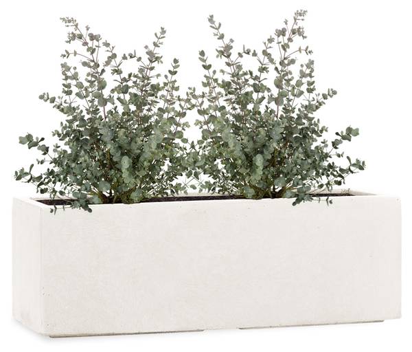 Fensterbank Pflanzkübel TUB Beige - Fiberglas - 50 x 17 x 17 cm
