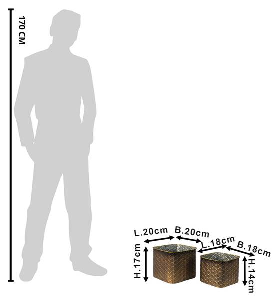 Bloempot Rosalasi Set van 2 metaal - 20 x 17 x 20 cm