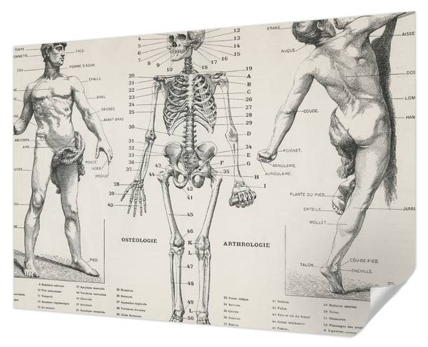 Fototapete Elements 208 x 146 cm