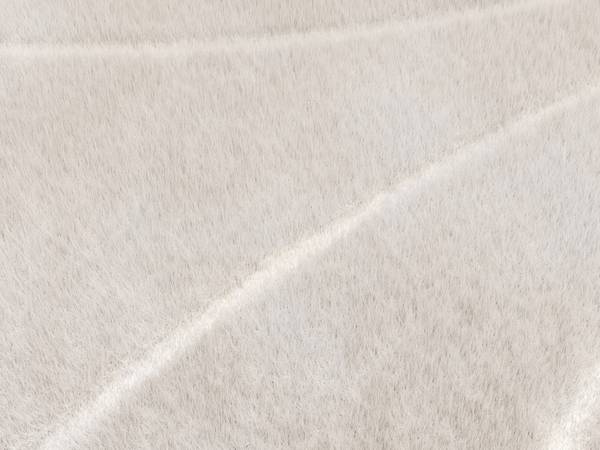 Wohnzimmerteppich PAOLISI Beige - Textil - 290 x 1 x 200 cm