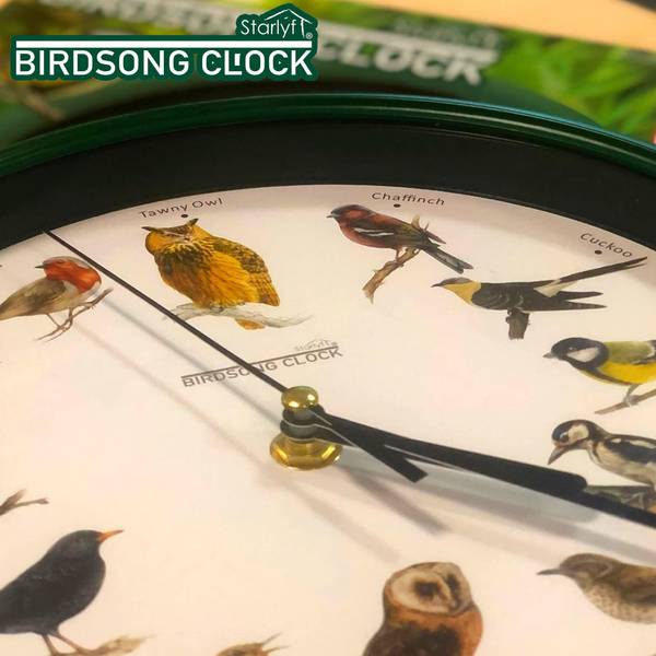 Birdsong Clock Wanduhr Grün - Kunststoff - 25 x 25 x 4 cm