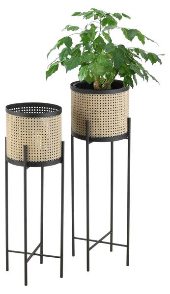 Lot de 2 Supports de Plantes Colfontaine Beige - Métal - 26 x 80 x 26 cm