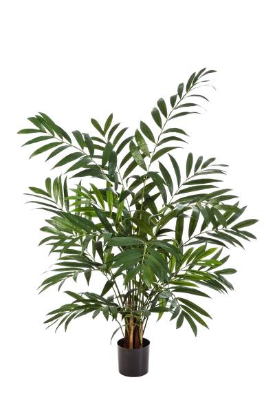 Künstliche Bergpalme Chantal Beige - Kunststoff - 70 x 110 x 70 cm