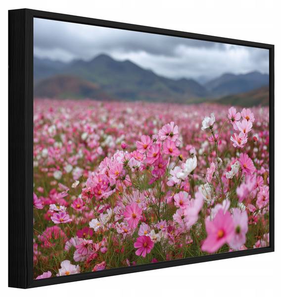 Bilder mit Rahmen Blumen PPR16338 60 x 40 cm