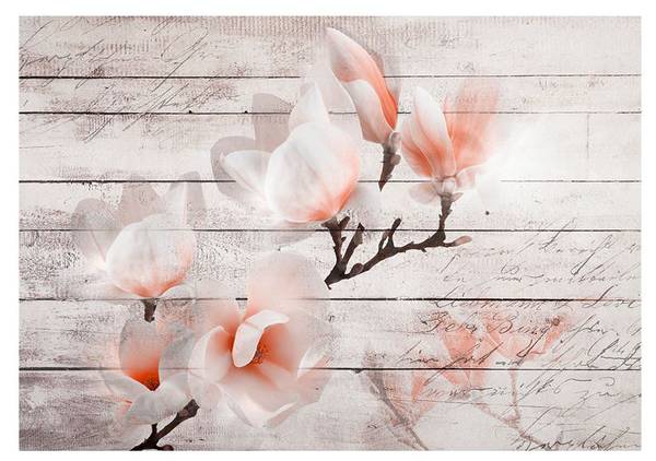 Vliestapete Magnolie Liv 250 x 175 cm