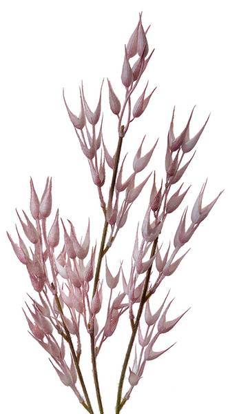Kunstblume 43502 Pink - Kunststoff - 6 x 72 x 6 cm