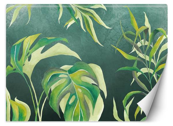 Fototapete Monstera Blatt Pflanzen 400 x 280 cm