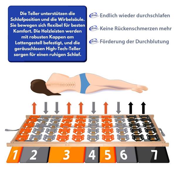 Tellerlattenrost Cubiflex KF Tiefe: 120 cm - Holz teilmassiv