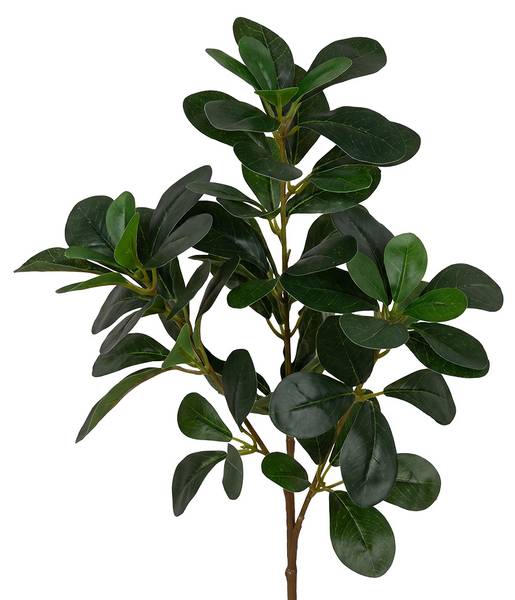 Kunstblume 55867 Grün - Kunststoff - 1 x 78 x 78 cm