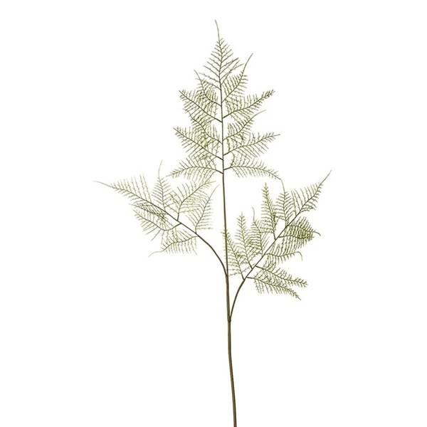 Farnblatt  190162 Grün - Kunststoff - 1 x 90 x 1 cm