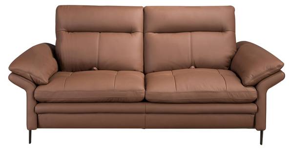 Canapé 6242 Marron - Tissé à plat - Cuir synthétique - Pin - Acier inoxydable 18/0 - 195 x 94 x 118 cm