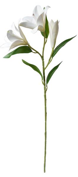 Kunstblume 47847 Weiß - Kunststoff - 12 x 71 x 17 cm