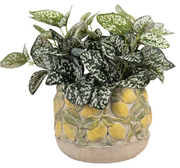 Blumentopf Mayaettesi Beige - Stein - 19 x 15 x 19 cm