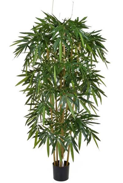 Künstlicher Bambus Pia Grün - Kunststoff - 80 x 210 x 80 cm
