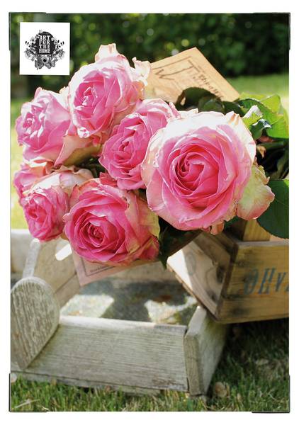 Leinwandbild Romantische rosen Grün - Baumwollstoff - 50 x 70 x 1 cm