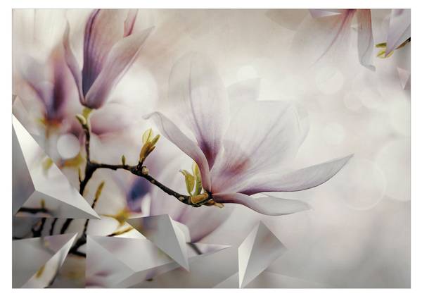Vliestapete Magnolie Yi 400 x 280 cm