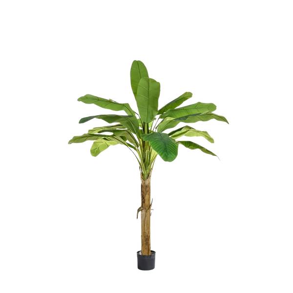 Künstlicher Bananenbaum Harald Grün - Kunststoff - 1 x 105 x 1 cm
