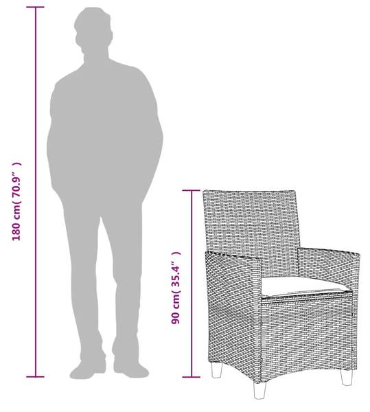 Chaise de jardin 3033878-1 (lot de 2) Gris