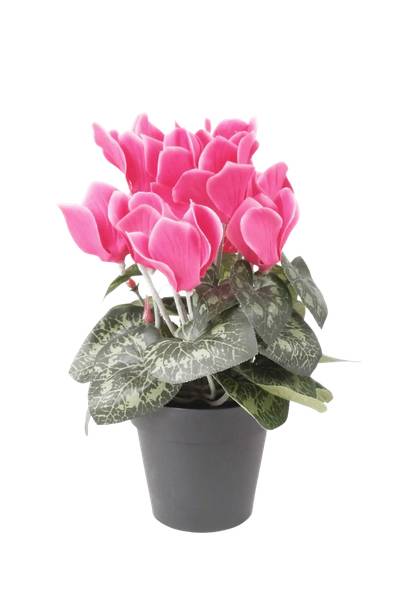 Künstliches Alpenveilchen Magdalena kaufen