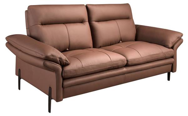 Canapé 6242 Marron - Tissé à plat - Cuir synthétique - Pin - Acier inoxydable 18/0 - 195 x 94 x 118 cm