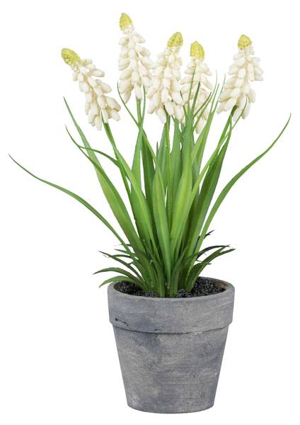 Kunstpflanze MUSCARI I Grau - Grün - Weiß - Holzwerkstoff - 1 x 1 x 1 cm
