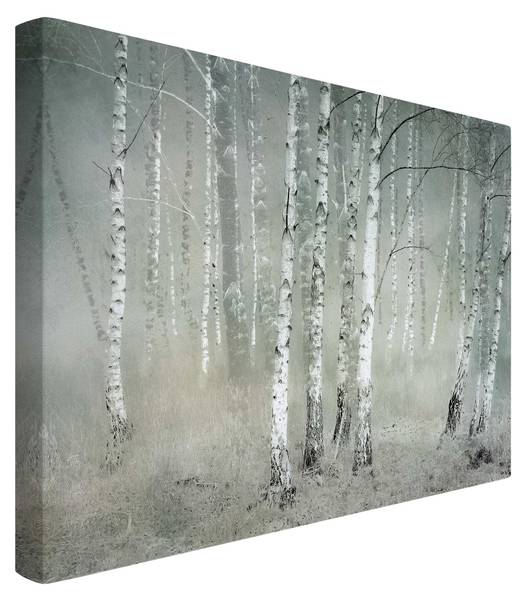 Akustikbild Birkenwald 180 x 120 cm