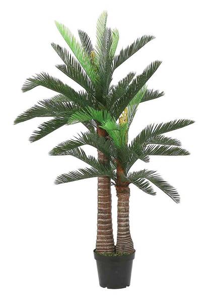 Kunstpflanze Cycas Grün - Textil - 155 x 150 x 25 cm