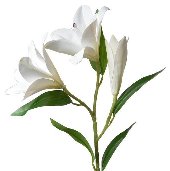 Kunstblume 47847 Weiß - Kunststoff - 12 x 71 x 17 cm