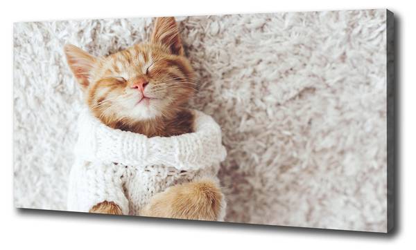 Wandbild Kätzchen Pullover Beige - Mischgewebe - 100 x 50 x 4 cm