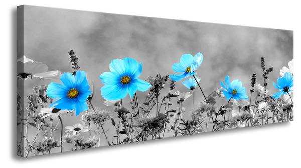 Leinwandbild Wiese Panorama Textil - 120 x 40 x 2 cm