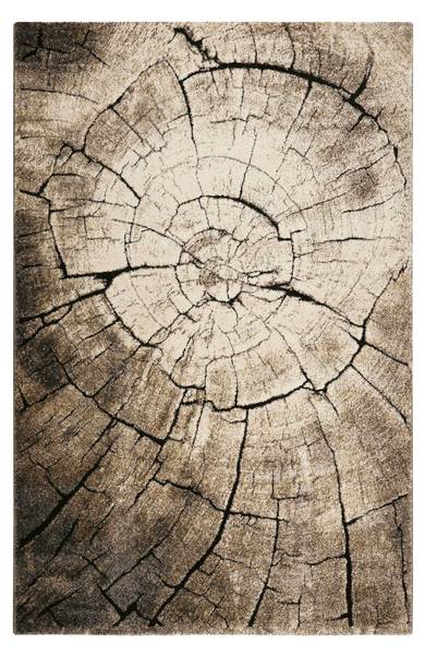 Kurzflorteppich Wild Oak 200 x 290 cm