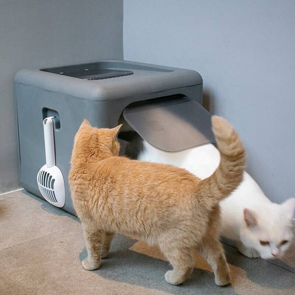 Katzenklo Katzentoilette Faltbare Grau - Kunststoff - 43 x 38 x 41 cm
