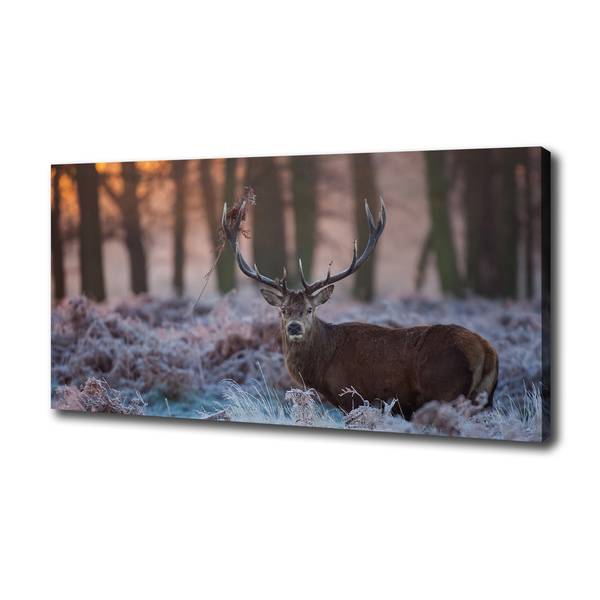 Wandbild Hirsch Sonnenaufgang Braun - Mischgewebe - 100 x 50 x 4 cm
