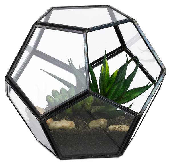 Planten terrarium voor vetplanten zwart - glas - metaal - 14 x 12 x 14 cm