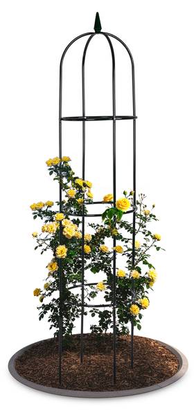 Rankhilfe 1000578 Grün - Metall - 38 x 193 x 193 cm