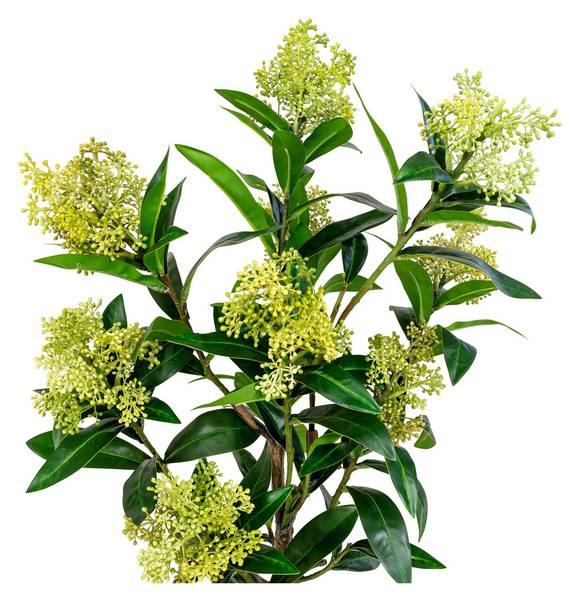 Künstliche Pflanze Skimmia Grün - Polypropylen - 40 x 75 x 40 cm