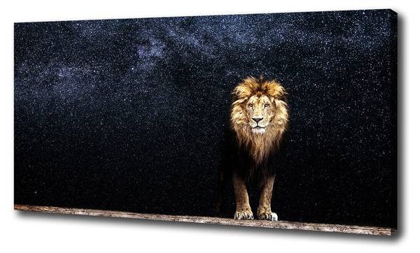 Wandbild Löwe Sterne Braun - Mischgewebe - 100 x 50 x 4 cm