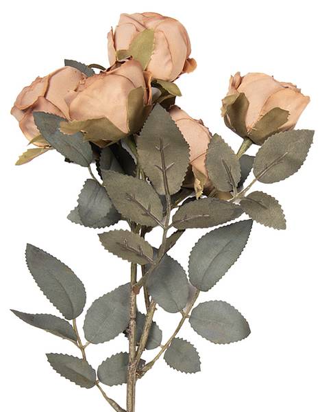 Kunstblume Rose 53380 Braun - Kunststoff - 13 x 43 x 8 cm
