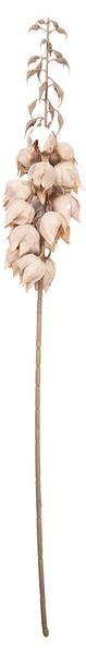 Kunstblume 93173 Beige - Kunststoff - 12 x 100 x 12 cm