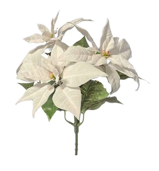 Künstliche Poinsettia Augustus Beige - Kunststoff - 1 x 32 x 1 cm