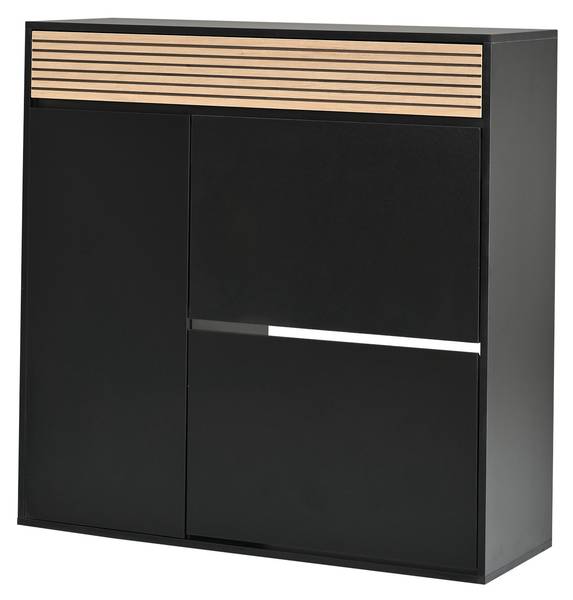 Schuhschrank Philotes Ⅰ Schwarz - Braun - Holzwerkstoff - 100 x 105 x 35 cm