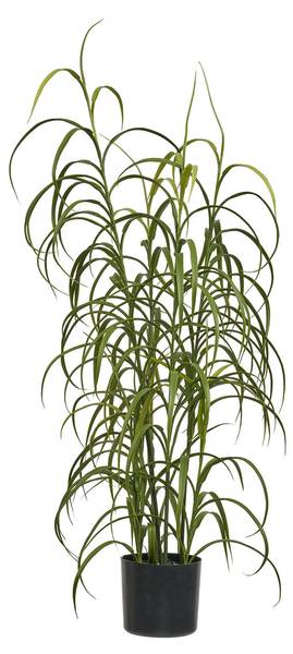 Kunstpflanzen VK8681847499985 Grün - Polyethylen - 36 x 89 x 36 cm