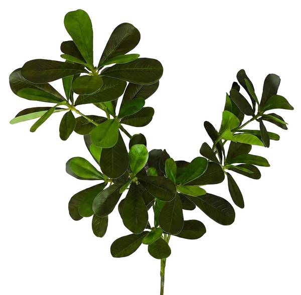 Kunstblume 93941 Grün - Kunststoff - 1 x 82 x 82 cm