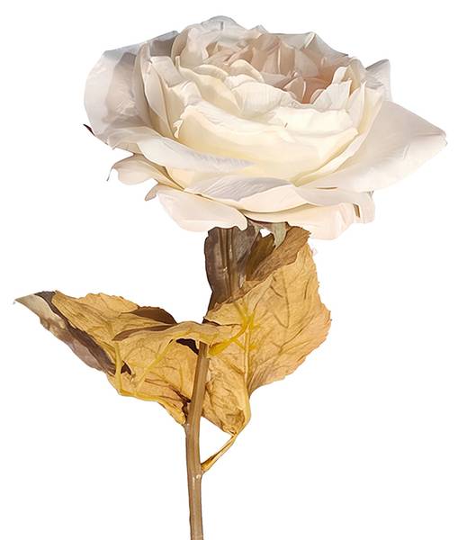 Kunstblume 55874 Weiß - Kunststoff - 1 x 63 x 63 cm