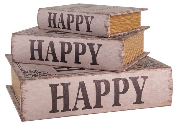 Aufbewahrungsbox Bücher Elise 3er Set Beige - Holzwerkstoff - 22 x 7 x 27 cm