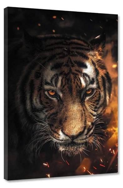 Leinwandbild Tiger Sparkles 40 x 60 cm