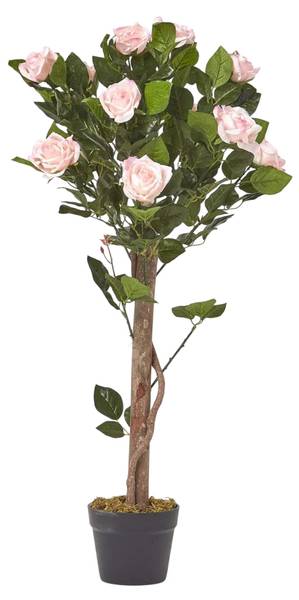 Kunstbaum Rose kaufen | home24