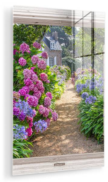 ACRYLGLASBILD Hortensie 40 x 60 cm