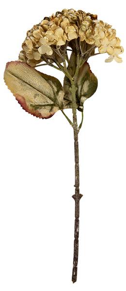Kunstblume 51442 Beige - Kunststoff - 15 x 47 x 15 cm